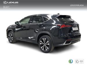 Lexus NX 2.5 300h Premium 2WD  - Foto 3
