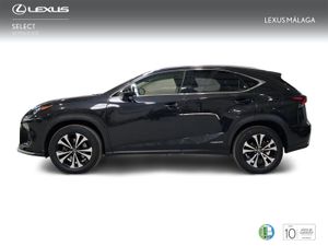 Lexus NX 2.5 300h Premium 2WD  - Foto 4
