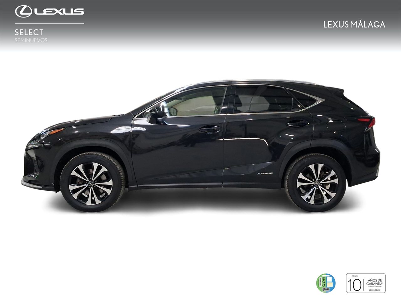 Lexus NX 2.5 300h Premium 2WD  - Foto 4