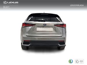Lexus NX 2.5 300h Premium 2WD  - Foto 5