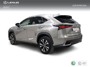 Lexus NX 2.5 300h Premium 2WD  - Foto 3
