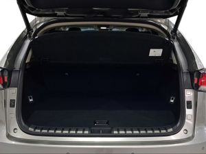 Lexus NX 2.5 300h Premium 2WD  - Foto 10