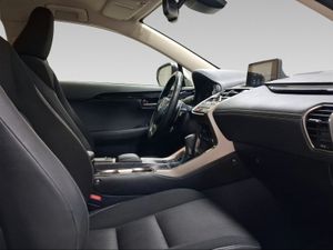 Lexus NX 2.5 300h Business Navigation 2WD  - Foto 7