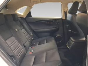 Lexus NX 2.5 300h Business Navigation 2WD  - Foto 8