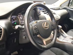 Lexus NX 2.5 300h Business Navigation 2WD  - Foto 18