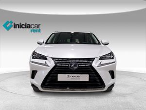 Lexus NX 2.5 300h Business Navigation 2WD  - Foto 6