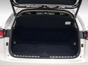 Lexus NX 2.5 300h Premium 2WD  - Foto 10