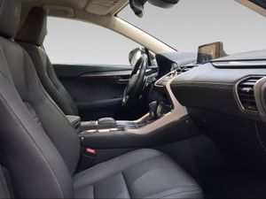 Lexus NX 2.5 300h Premium 2WD  - Foto 7