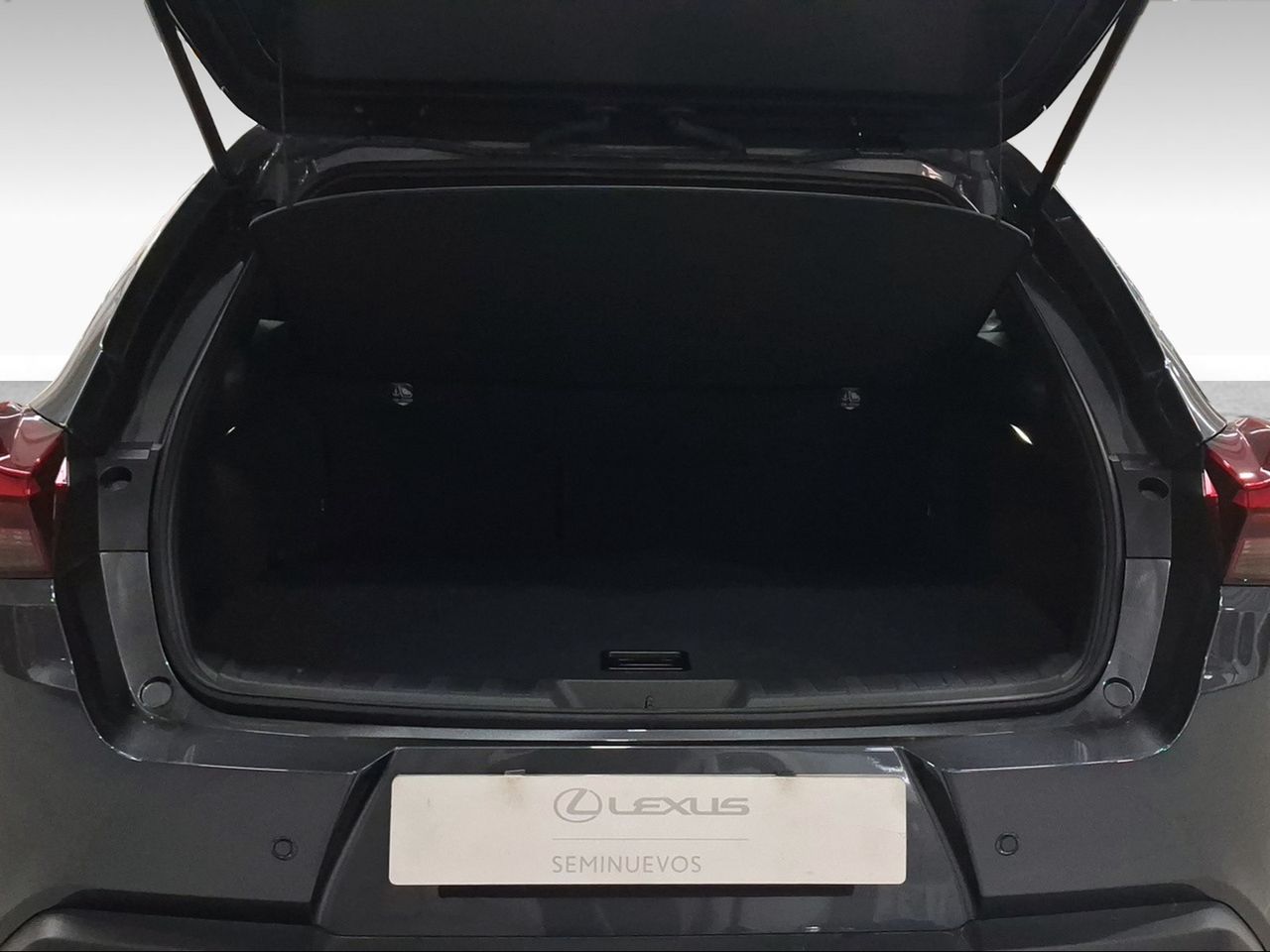 Lexus UX 2.0 300h UX Plus  - Foto 10