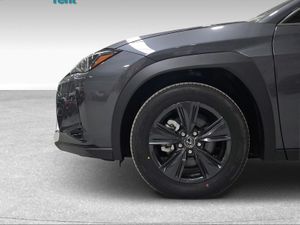 Lexus UX 2.0 300h UX Plus  - Foto 11