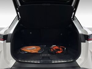 Lexus RZ 300e Executive  - Foto 10