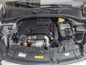Citroën C4 Cactus BlueHDi 100 Feel Fine  - Foto 19