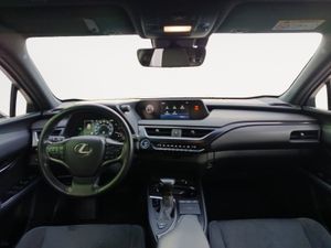 Lexus UX 2.0 250h Luxury  - Foto 15