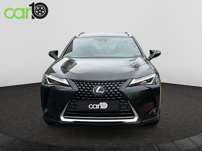 Lexus UX 2.0 250h Business  - Foto 3