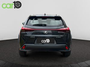 Lexus UX 2.0 250h Business  - Foto 7