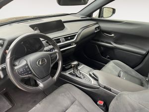 Lexus UX 2.0 250h Business  - Foto 13