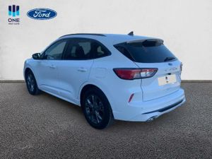 Ford Kuga ST-LINE X AUTOM 2.5FHEV 190CV  - Foto 13