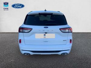 Ford Kuga ST-LINE X AUTOM 2.5FHEV 190CV  - Foto 14