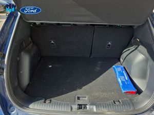 Ford Kuga ST-LINE 2.5FHEV 190CV  - Foto 15
