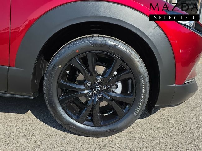 Mazda CX-30 HOMURA 2.5 MHEV 140CV  - Foto 13