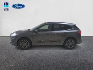 Ford Kuga ST-LINE X AUTOM 2.5FHEV 190CV  - Foto 3