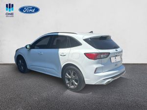 Ford Kuga ST-LINE X AUTOM 2.5FHEV 190CV  - Foto 13