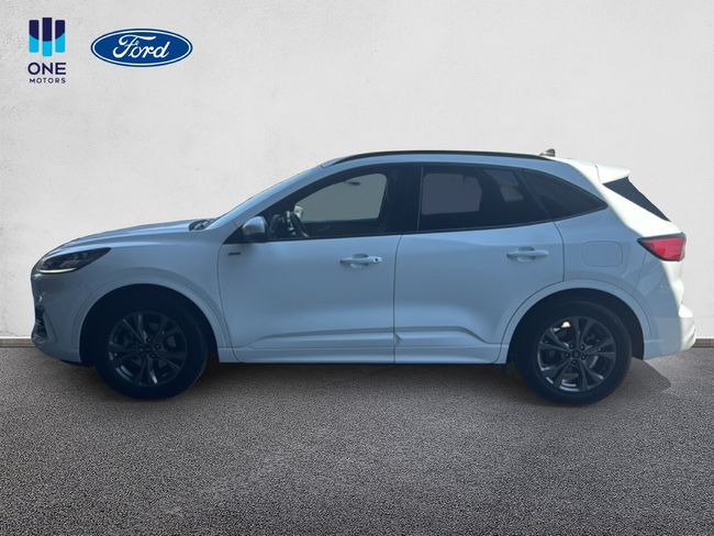 Ford Kuga ST-LINE X AUTOM 2.5FHEV 190CV  - Foto 12