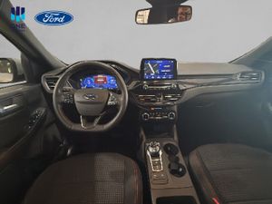 Ford Kuga ST-LINE AUTOM 2.5FHEV 190CV  - Foto 8