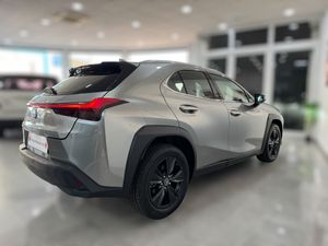 Lexus UX 250h Hybrid Premium   - Foto 13