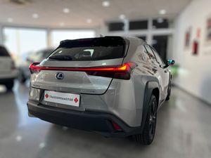 Lexus UX 250h Hybrid Premium   - Foto 12