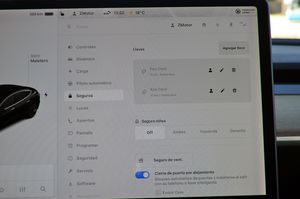 Tesla Model 3 Tracción integral Gran autonomía - Foto 30