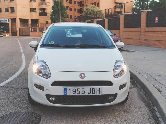 Fiat Punto 1.3 MULTIJET POP   - Foto 6