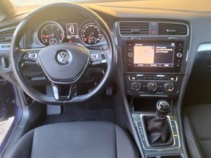 Volkswagen Golf Variant 1.6 TDI VARIANT LAST EDITION   - Foto 13