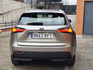 Lexus NX 300h Business 2WD  - Foto 6