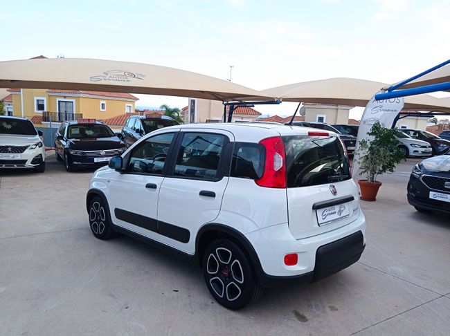 Fiat Panda CITY HYBRID 1.0 GSE 70 CV   - Foto 7