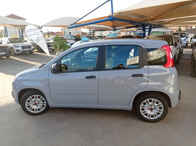 Fiat Panda 1.0 FIREFLY 70 CV HIBRIDO  - Foto 7