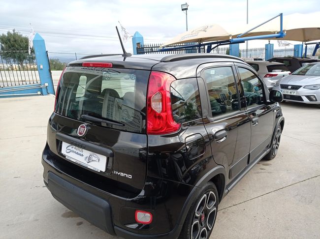 Fiat Panda CITY HYBRID 1.0 GSE 70CV  - Foto 4