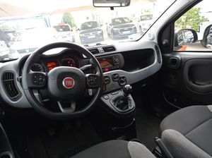 Fiat Panda CITY HYBRID 1.0 GSE 70CV  - Foto 12