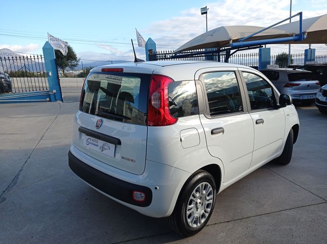 Fiat Panda 1.0 CITY HYBRID 1.0 GSE 70CV  - Foto 5