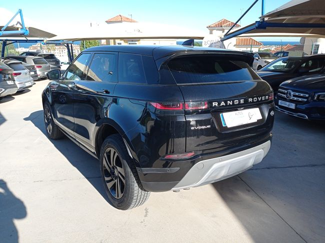 Land-Rover Range Rover Evoque S D165 MHEV AWD Auto  - Foto 6