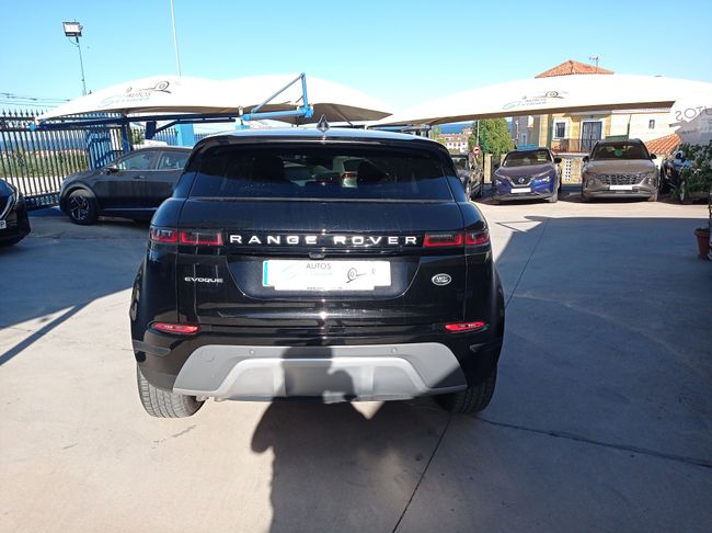 Land-Rover Range Rover Evoque S D165 MHEV AWD Auto  - Foto 5