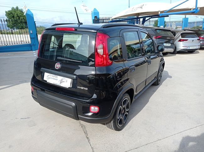 Fiat Panda 1.0 CITY HYBRID 1.0 GSE 70CV.  - Foto 4
