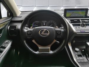 Lexus NX 2.5 300h Business Navigation 2WD - Foto 13