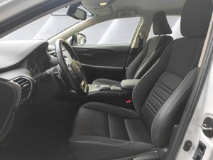 Lexus NX 2.5 300h Business Navigation 2WD - Foto 12