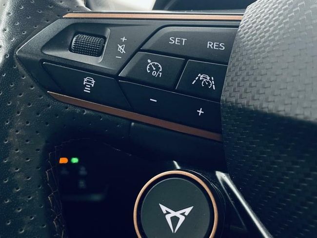Cupra Formentor 2.0 TSI 228kW (310 CV) VZ 4Drive DSG  - Foto 14