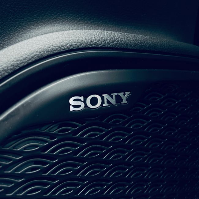 Ebro S700 1.6 TGDI Luxury 7 DCT  - Foto 24