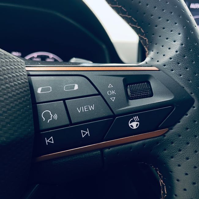 Cupra León 1.5 eTSI 110kW (150CV) DSG  - Foto 14