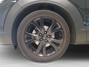 Mazda CX-30 e-SKYACTIV-X 2.0 137kW (186CV) MT Homura  - Foto 9