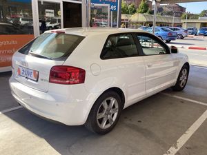 Audi A3 1.6 TDI 105cv Attraction 213000  - Foto 2