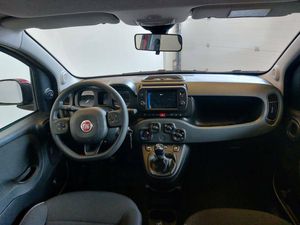 Fiat Panda Cross 1.0 Hybrid 51kw (70CV)  - Foto 2